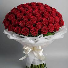 Букет 101 Красная роза Блэк Мэджик в Любучаны