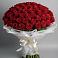 Букет 101 Красная роза Блэк Мэджик в Любучаны