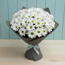 Букет цветов из:  Хризантемы в Любучаны