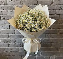 Букет цветов из:  Ромашки в Любучаны