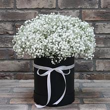 Цветочная композиция из Гипсофила в шляпной коробке в Любучаны