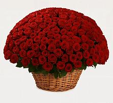 Премиум букет из: Розы в Любучаны