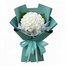 Букет цветов из:  Гортензия в Любучаны